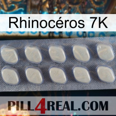 Rhinocéros 7K 08